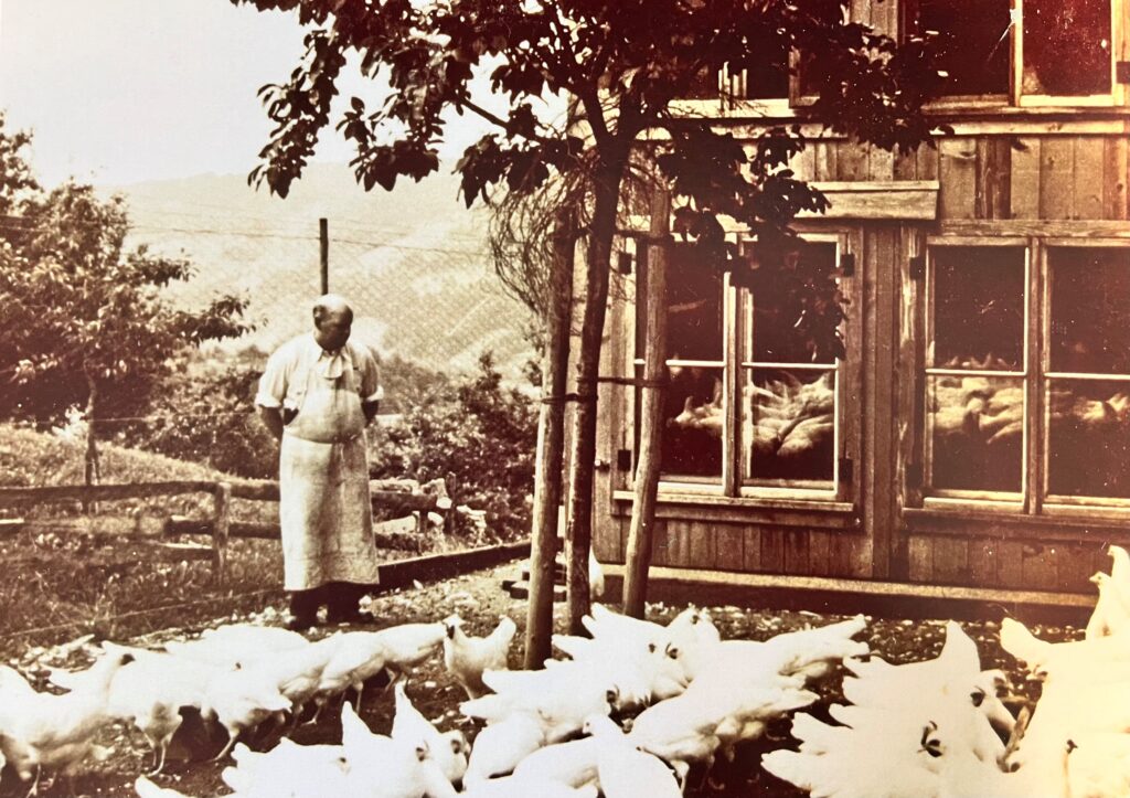 Ein Sepia-Bild zeigt einen Mann in weißer Schürze, der neben einem Baum vor einem Holzhaus mit großem Fenster steht. Um ihn herum ist ein Schwarm weißer Enten, die wahrscheinlich frische Eier legen. Die Szene scheint auf einem Bauernhof mit Bergen im Hintergrund zu spielen.